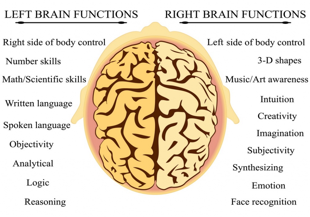 WHY STUDENTS NEED ‘WHOLE BRAIN’ LEARNING TECHNIQUES AND STRATEGY